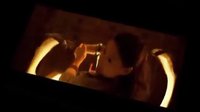 twins 《雙子神偷》 搞笑斗蛇