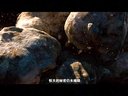 《龐貝末日》定檔8月15日 3D史詩災難片盛夏來襲