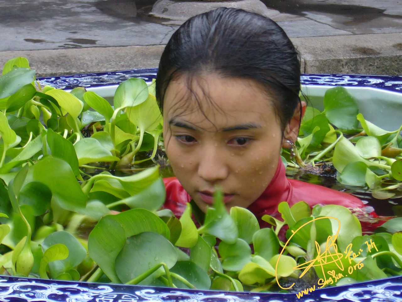 http://www.omega3-ala.com/pics/default/download/eed05472b3c680182543abb3dd08adb0.jpg