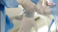 《不要戀愛要結婚》角色介紹預告