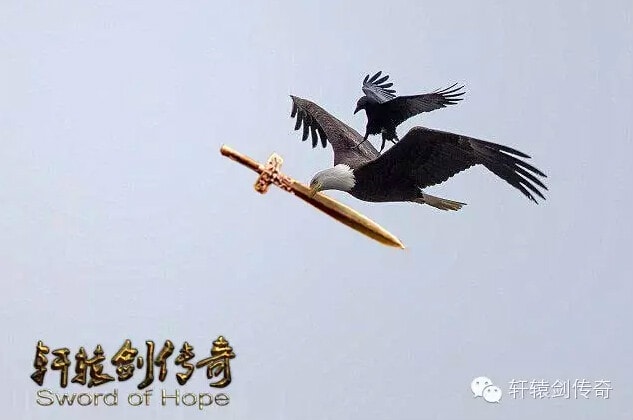 http://www.omega3-ala.com/pics/default/download/ef131428a2b21bbe4edf7bd8a415401e.jpg