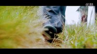 夕陽下的剃頭匠預告片.mp4