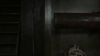 天魔異種，不要隨便在海里撈東西 科，切記！