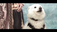 《八戒歸來》最終預告