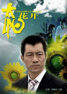 太陽花開