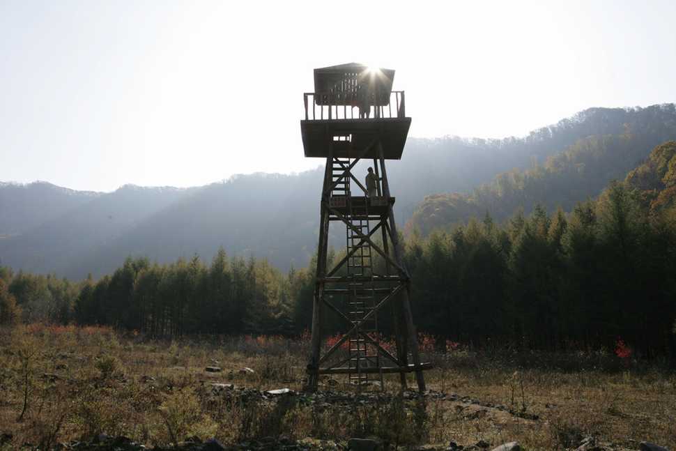 http://www.omega3-ala.com/pics/default/download/f15e39f398cacac18ec9e55ae62bb870.jpg