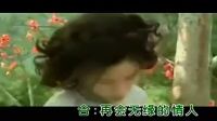 電視劇《木棉花的春天》主題曲《再會無緣的情人》，經典好聽