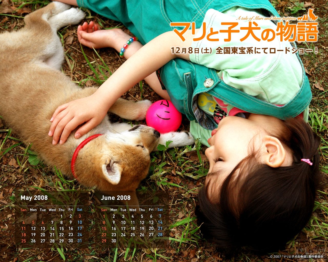 http://www.omega3-ala.com/pics/default/download/f18bcddf680cae6594ee3dd62aa4da47.jpg