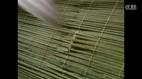 俠影仙蹤——上官劍侍、蘇瞳