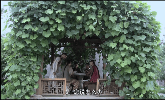 大國手之首席棋待詔 精彩圖冊