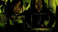 預(yù)告片