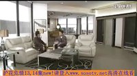 護花危情13,14全集