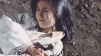 驚天方龍鳳斗