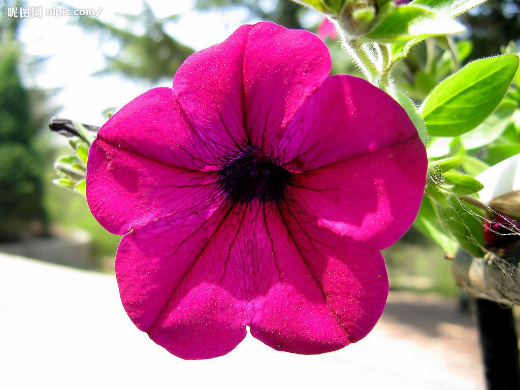 http://www.omega3-ala.com/pics/default/download/f3b60badfa53facb665bdbeec80a6925.jpg