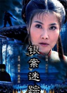 銀案迷蹤