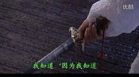 新版 -花開花落.--《木棉花的春天》-李弈慧mpg