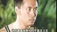 電視劇《籬笆女人和狗》插曲 ：籬笆墻的影子【毛阿敏】