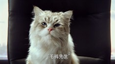 中文版預告片