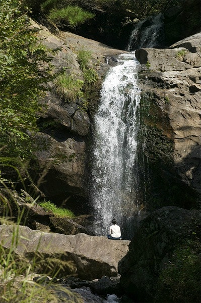 http://www.omega3-ala.com/pics/default/download/f53ae900b9d1d41d0521bd3277ce3ff1.jpg