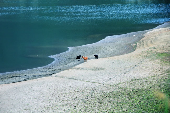 http://www.omega3-ala.com/pics/default/download/f54812cc8e3b0770c72b0e6d5fba11bd.jpg