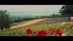 終極版預告片