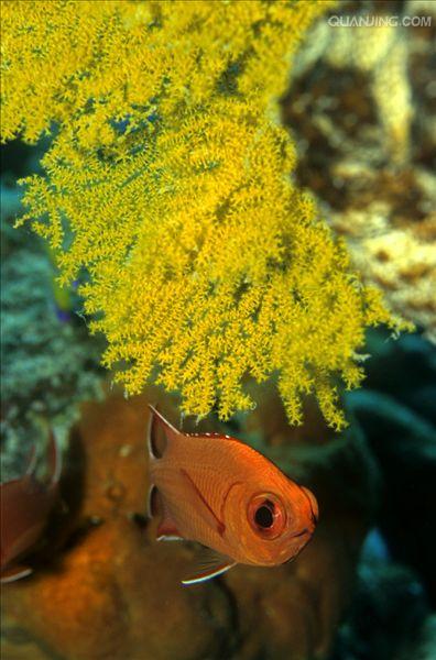 http://www.omega3-ala.com/pics/default/download/f574e8b007d32d7acfa4109307987215.jpg