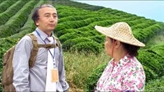劇場版預(yù)告片