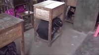 白倉鎮新建中學防震疏散演練