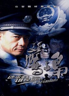 鷹與梟