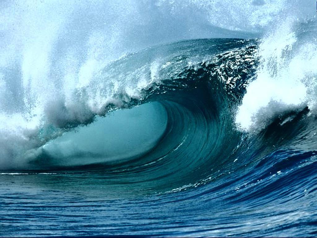 http://www.omega3-ala.com/pics/default/download/f7631964204248f40d16c66667e9a24b.jpg