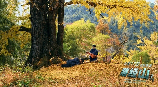 http://www.omega3-ala.com/pics/default/download/f8117295c484d97371c1065526a2da38.jpg