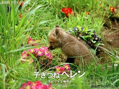 http://www.omega3-ala.com/pics/default/download/f8272d1474f2c9d7048f723c6f9d8e6f.jpg