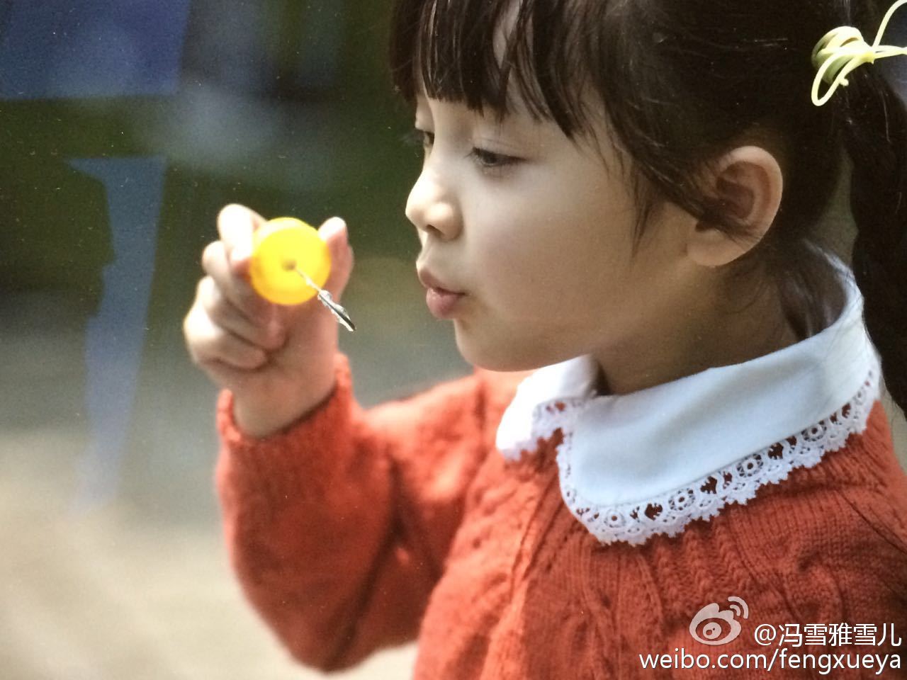 http://www.omega3-ala.com/pics/default/download/f86c/3e64c5432f76c66015f0de7524ed.jpg