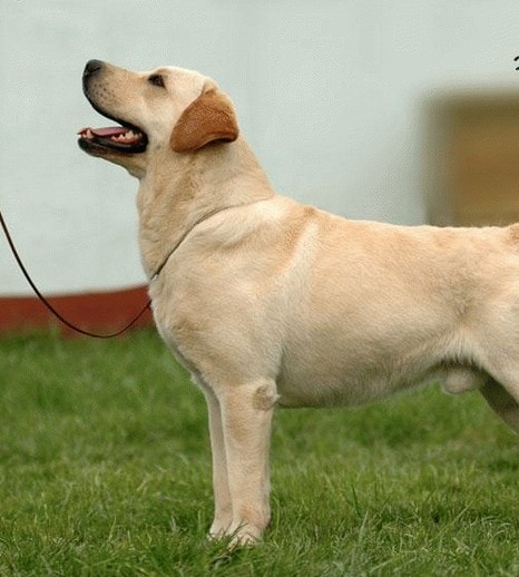 http://www.omega3-ala.com/pics/default/download/f8abc55d81e01057ea3f9c78c8a68240.jpg