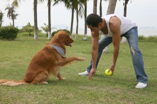 http://www.omega3-ala.com/pics/default/download/f90b890e18d996ce743b94653570c937.jpg