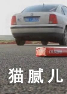 貓膩兒