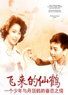 飛來的仙鶴