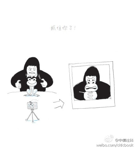 http://www.omega3-ala.com/pics/default/download/fa46d579e44c2607a1378c88777b86d9.jpg