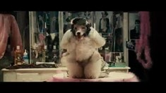 先行版預告片1