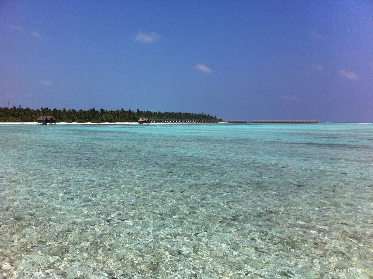 http://www.omega3-ala.com/pics/default/download/fabdbec08bade1b52d7a05a57474fc46.jpg