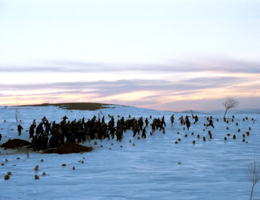 http://www.omega3-ala.com/pics/default/download/fac79071c827bc6b81090412a656cf83.jpg