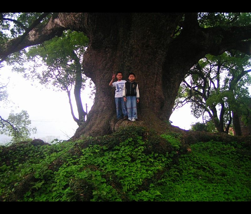 http://www.omega3-ala.com/pics/default/download/fafd523fcdc369d9d9da65d32bbcd603.jpg