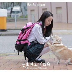 鐘佳琪