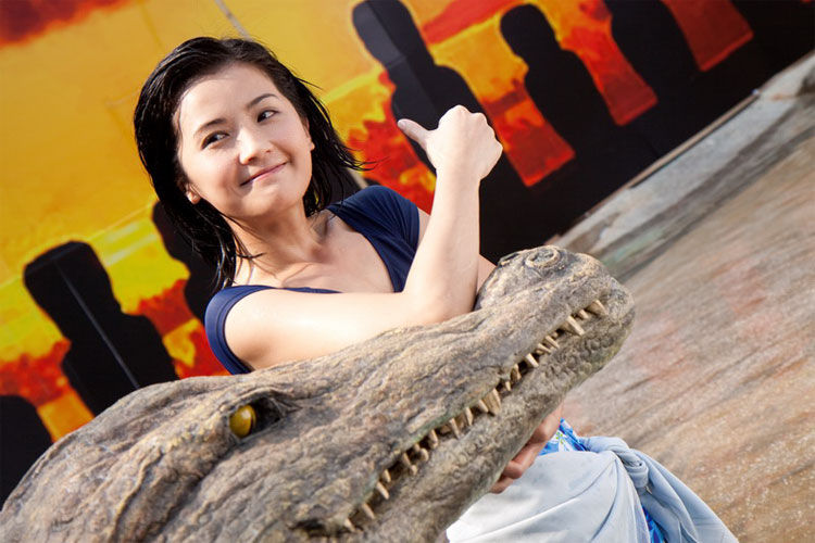 http://www.omega3-ala.com/pics/default/download/fb61240e99416f71a6568c55a2b137bb.jpg