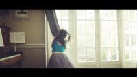 《飛燕舞者》John Lewis Home Insurance Advert 2015 - Tiny Dancer