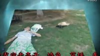 流浪記