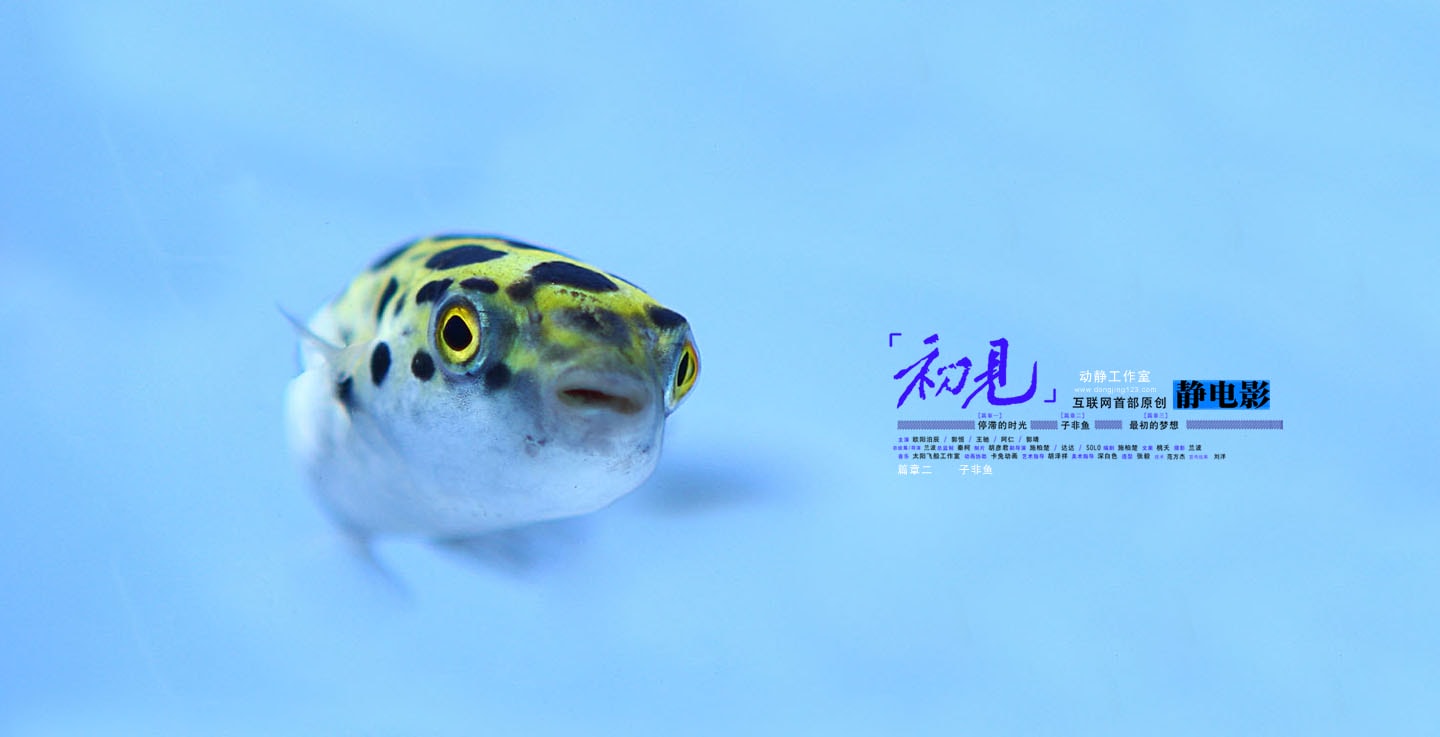 http://www.omega3-ala.com/pics/default/download/fc9c52bf02ee359c8e3134ed50f55e9f.jpg