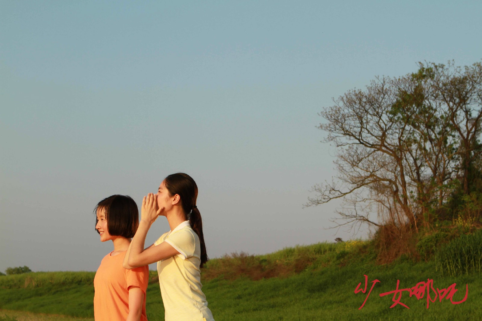 http://www.omega3-ala.com/pics/default/download/fcdd89682883825c94e63b75d562de56.jpg