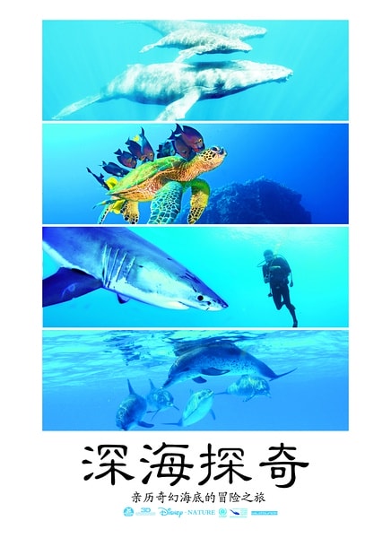 http://www.omega3-ala.com/pics/default/download/fdd9a3998e3db95dda1bb4178ef0d628.jpg