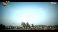 安東陽《一只蝴蝶》一生只愛你一人，歌聲好聽百聽不厭